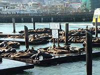 San Francisco Fishermans Warf 2001